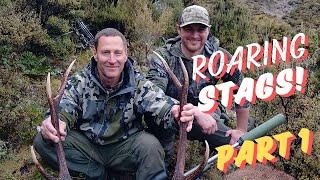 ROARING STAG HUNT IN NZ | CHAMOIS BUCKS AND ANGRY STAGS TAKE ON 2 FIREFIGHTERS FROM AMERICA - PART 1