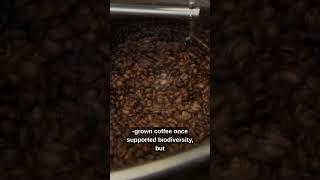 “Coffee Origins Sustainability in the Modern Age #coffeefacts #coffeelovers #coffeetips #homebrewing