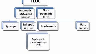 Approach to a patient with syncope, Dr. Sherif Altoukhy