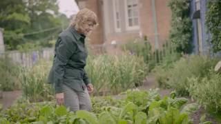 Happy Traveler Tips: Phipps Conservatory and Botanical Gardens