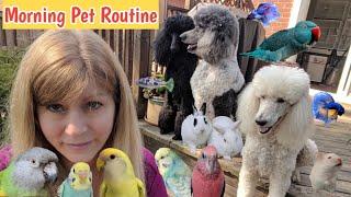 Morning Routine with my Pets | Feeding my Pets Breakfast