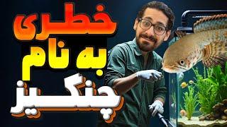 بالاخره آکواریوم چنگیز رو سیفون کردم