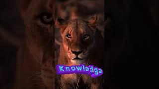 Knowledge is Key #motivation #lifelessons #knowledge #motivationspeech #lifeisgooddance