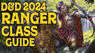 2024 Ranger Class Guide for D&D 5e.