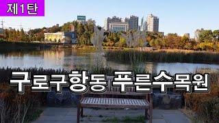 랜선힐링여행, 구로구 항동 푸른수목원 제1탄, 3만평의 도심속 힐링명소, 항동저수지 다양한 식물과 잔디마당, 향기원, 암석원, 어린이정원 등 다양한 테마원, 항동철길