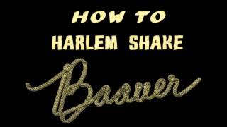 Baauer - Harlem Shake [Official version HD]