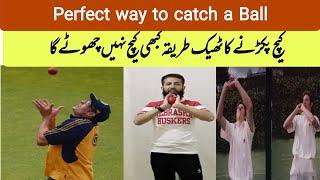 Catch Practice at Home I Cricket Catch Practice I Cricket Fielding Practice