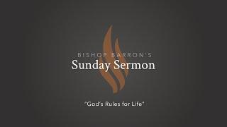 God’s Rules for Life — Bishop Barron’s Sunday Sermon