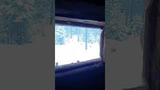 хозяин леса. зимовьё. Саяны #тайга#хозяинлеса#зимовье