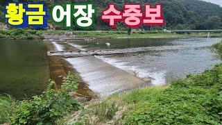 여름휴가 족대질 "수중보" 이런곳에 가면 물고기 떼 만날수 있어요!!!