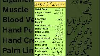 Hand Anatomy Vocabulary in English with Urdu Meanings | Smart Study Zone | Part 3