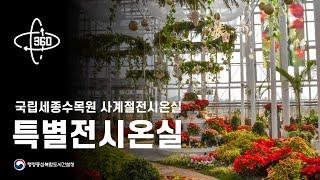 Sejong National Arboretum Four Seasons Exhibition Greenhouse, Third Special Exhibition Greenhouse