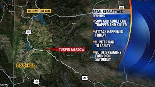 Man killed in Wyoming bear attack