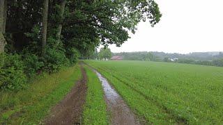 Walking in the rain in Örby, Sweden