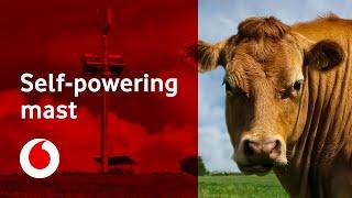 Harvesting the wind | Vodafone's new self-powering mast goes live | Vodafone UK