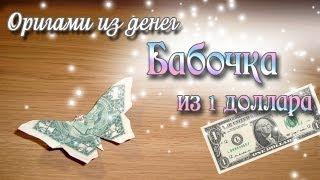 Бабочка из доллара махающая крыльями Dollar Butterfly