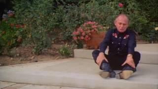 Sweet Justice (1992) Frank Gorshin