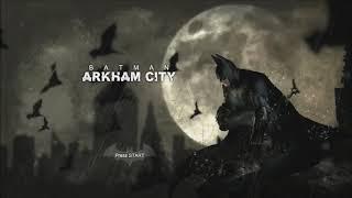 Batman: Arkham City - Predator Challenge (Natural Selection)