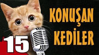 Konuşan Kediler 15 - En Komik Kedi Videoları