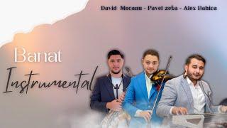 David Mocanu & Pavel Zeta & Alex Bahica - BANAT INSTRUMENTAL 2024 ( AUDIO)