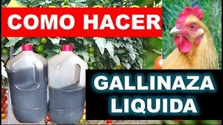 GALLINAZA LÍQUIDA ¿CÓMO HACERLA?.  FERTILIZANTE LÍQUIDO/LIQUID CHICKEN MANURE. HOW TO MAKE IT?