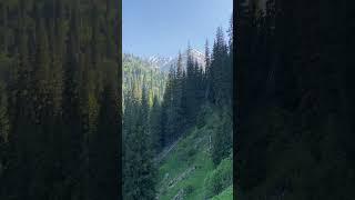 Смысл слов в голове #успех #саморазвитие #природа #мудрость #mountains #горы #жизнь #смысл #слова