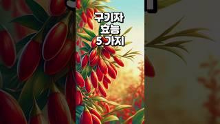 구기자 효능 5가지 #구기자 추천상품 '설명' 참조(화면 길게 누르기)