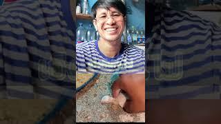 #funny #comedy #colonelkkjϟ #memes #puppy #duet #pinoy #magic #animals #onlyߙjesus #pets #rㅤgm