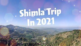 Delhi to Shimla with our pet dog | Himachal Pradesh | Travel vlog