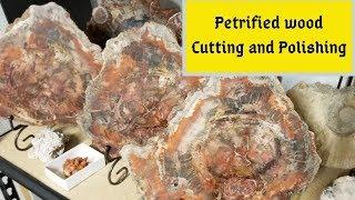 Petrified wood log Cutting and Polishing