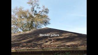 Blocked gutters and roof valleys water damage