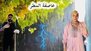 * عاصفة الصيف تعود للمطارات: حماية أشجار العنب من الأمراض.