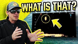 How To Identify Fish On Forward Facing Sonar! | Dustin Connell