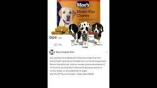 MOE'S HEALTHY PETS 1