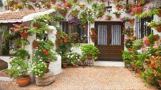 House and Garden - Cool Landscaping Ideas