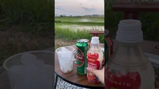 여름철 별미 토마토맥주 #tomato #beer
