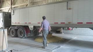 Unloading local hopper truck of soybeans into pit