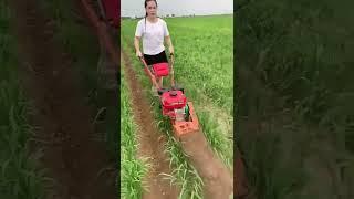 Ditching and cultivating machine, a good helper for farmers