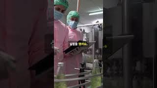 떨어진 음식, 5초 안이면 괜찮다? 과학이 말하는 충격적인 진실! #짧은과학 #상식뒤집기
