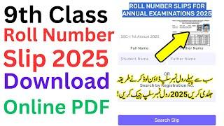 roll number slips for 9th class 2025 - how to check roll number slips online 9th class- SLIP 2025