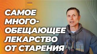 Наконец-то: результаты самого крупного исследования рапамицина- лекарства от старости