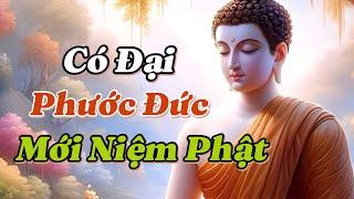 Nếu có người chỉ niệm A Di Đà đó gọi là Vi Diệu Thiện