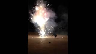 Pyro Dog