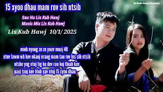 15 xyoo dhau mam rov ntsib by lis kub hawj 10/1/2025