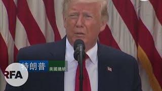 特朗普對「港版國安法」感「不悅」     稱本周出台強力措施