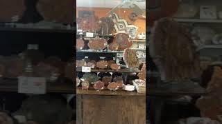 Regitas video #1 (Holbrook)