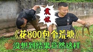 花800包個荒塘，沒想到結果竟然會成這洋？#農村生活 #三農 #護外#小飛哥#抓魚vlog