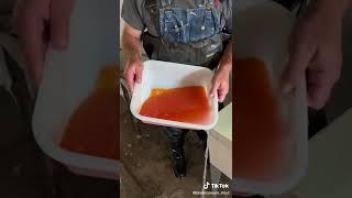 Fertilization #trout #goldentrout #goldenrainbow #rainbowtrout #troutfishing #troutfarm #hatchery