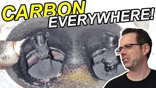 Can you Really Remove Carbon for $29?