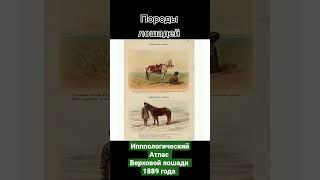 Ипппологический Атлас Верховой лошади 1889 года!